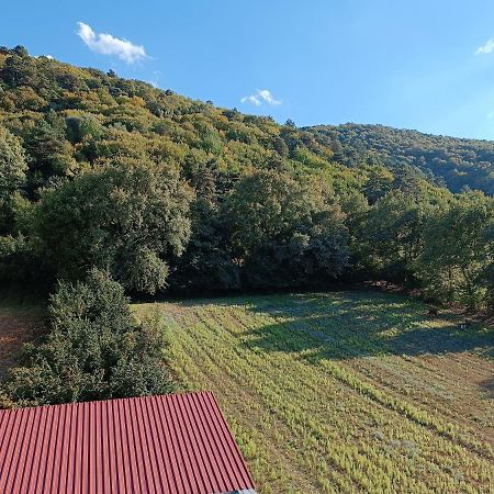 Mekan Ilica Apart Otel Karacasu  Bagian luar foto