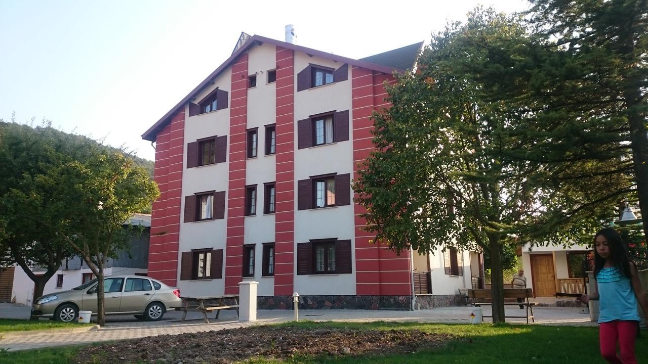 Mekan Ilica Apart Otel Karacasu  Bagian luar foto